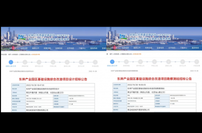 东岸产业园区基础设施综合改造项目获批立项